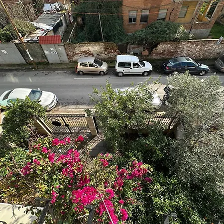 Apartament The Doctor's *